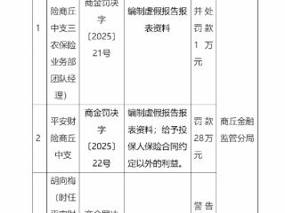 编制虚假报告报表资料等，平安财险商丘中支被罚款28万元
