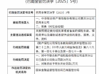 中华联合财险重庆巴南支公司因两项违规被罚20万元