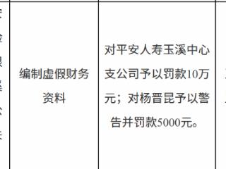 平安人寿玉溪中心支公司因编制虚假财务资料被罚款10万元