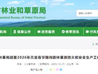 河北省林草局进行2026年元旦春节期间森林草原防火和安全生产工作部署