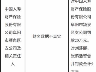 中国人寿财产保险阜阳市颍泉区支公司因财务数据不真实被罚款20万元