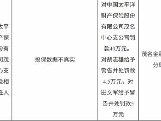 中国太平洋财产保险茂名中心支公司因投保数据不真实被罚款40万元
