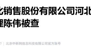 中国石化销售股份有限公司河北石油分公司原总经理陈伟被查
