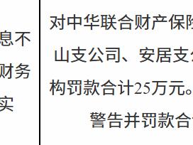 中华联合财产保险船山支公司、安居支公司因保险标的信息不真实等被罚款25万元