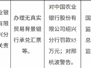 中国农业银行绍兴分行因办理无真实贸易背景银行承兑汇票等被罚款85万元