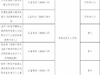 中国农业银行股份有限公司沈阳分行及苏家屯支行因违规发放个人贷款分别被罚30万元