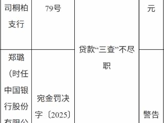 中国银行桐柏支行因贷款“三查”不尽职被罚款25万元