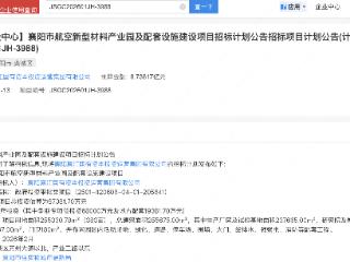襄阳国资航空新材料产业园8.7亿公开招标