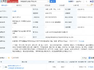 新特能源在新疆成立综合能源公司