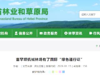 塞罕坝机械林场有了国际“绿色通行证” 认证面积93337.62公顷