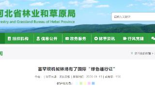 塞罕坝机械林场有了国际“绿色通行证” 认证面积93337.62公顷
