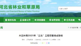 木兰林场2025年“三北”工程项目（任务规模7.6万亩）完成验收
