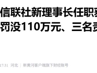 保定阜平农信联社新理事长任职获批后，机构半月内被罚没110万元