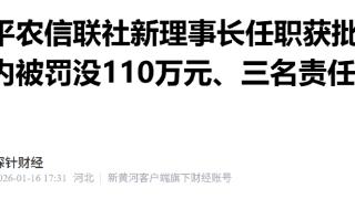 保定阜平农信联社新理事长任职获批后，机构半月内被罚没110万元