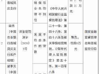 中国农业银行晋城凤庆支行因发放不符合条件的贷款等被罚款31万元