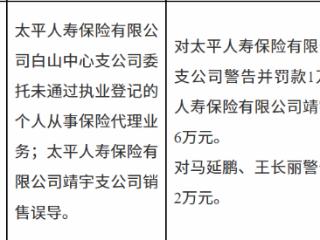 太平人寿保险两支公司因因销售误导等被罚共计7万元
