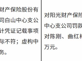 阳光财产保险白山中心支公司因会计凭证记载事项与实际不符等被罚款17万元