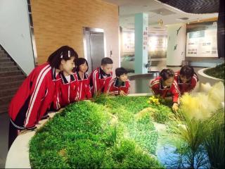 河北多地学校新变化！免费“定制公交”、教师“跨校走教”、特色资源开发等