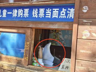 昆明一公园游乐园售票处工作人员脱鞋上桌？公园方：已批评教育