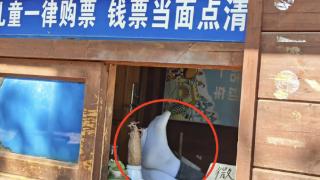 昆明一公园游乐园售票处工作人员脱鞋上桌？公园方：已批评教育