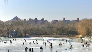 陶然亭公园冰场全域每日9点至17点对外开放 面积达2.5万平方米