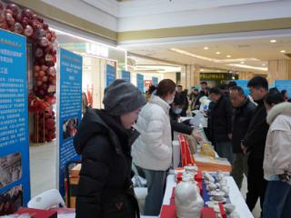 河北2026年“春风行动暨就业援助季、春暖农民工”专项活动成功举办