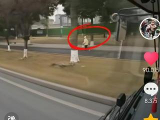 公交司机减速等乘客暖心举动获百万点赞，网友夸“最帅司机”