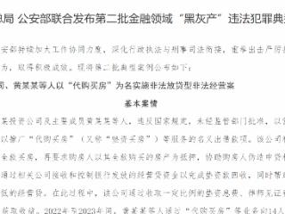 金融监管总局 公安部联合发布第二批金融领域“黑灰产”违法犯罪典型案例