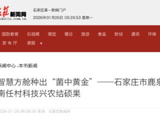 石家庄市鹿泉区：智慧方舱种出“菌中黄金” 科技兴农结硕果