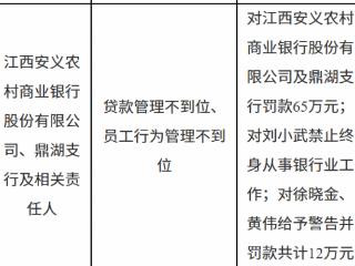 江西安义农村商业银行及鼎湖支行因贷款管理不到位等被罚款65万元