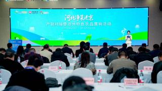 河北净菜进京产销对接暨沧州特色农品展销活动举办