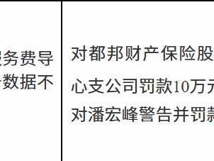 都邦财产保险延边中心支公司因虚列服务费导致财务数据不真实被罚款10万元