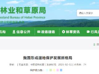 第30个世界湿地日 我国形成湿地保护发展新格局