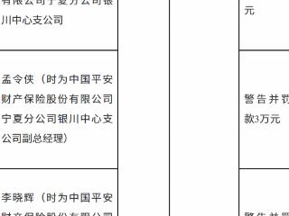 中国平安财产保险宁夏分公司银川中心支公司因编制虚假资料被罚款20万元