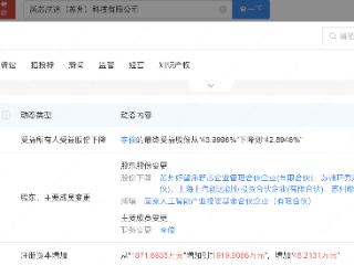 国家人工智能产投基金入股自动驾驶芯片设计公司新芯航途