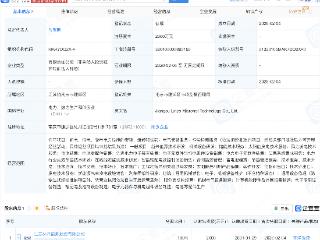 林洋能源成立科技新公司，含新能源汽车相关业务