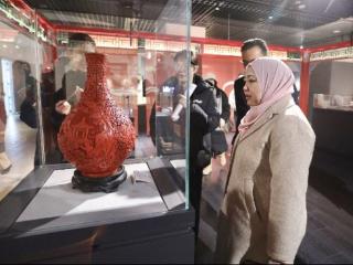 东盟9国23名驻华使节及中国-东盟中心领导一行来廊访问