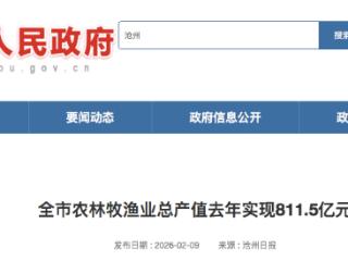 同比增长4.3% 沧州市农林牧渔业总产值去年实现811.5亿元