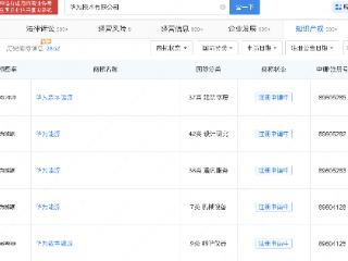 华为注册华为能源商标