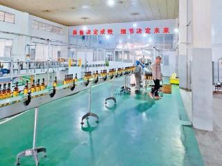 京津冀协同发展，河北复刻“百年滋味”