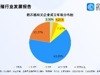 大鹅成年货新宠，超八成鹅养殖相关企业成立5年以上