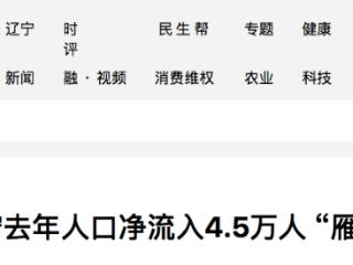 “雁阵北归”折射生机 辽宁去年人口净流入4.5万人