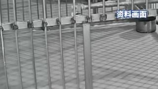 隐瞒小老虎死讯骗打赏饲养员发声：隐瞒死讯是善意的谎言