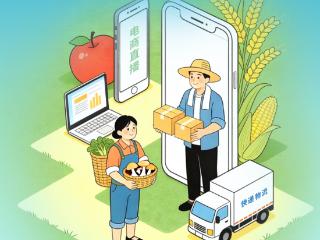 农村网络销售首破3万亿元，电商平台加速“下沉”