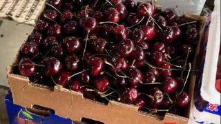 春节前夕车厘子走俏：价格大幅跳水，整箱购买更划算