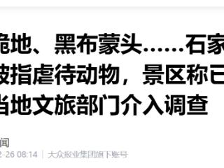 反绑跪地、黑布蒙头，石家庄一景区猴戏表演被指虐动物