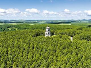 京津冀携手共建美丽家园 “三绿”并举筑牢生态屏障