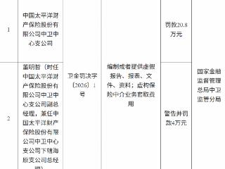 中国太平洋财产保险中卫中心支公司因编制或者提供材料等被罚款20.8万元