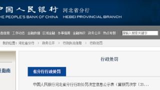 农业银行河北分行因违反金融统计管理规定被罚38.3万元