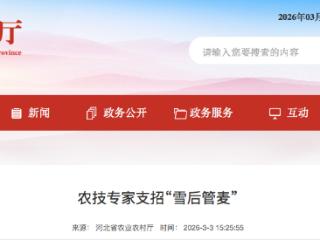 河北省农技专家支招“雪后管麦”